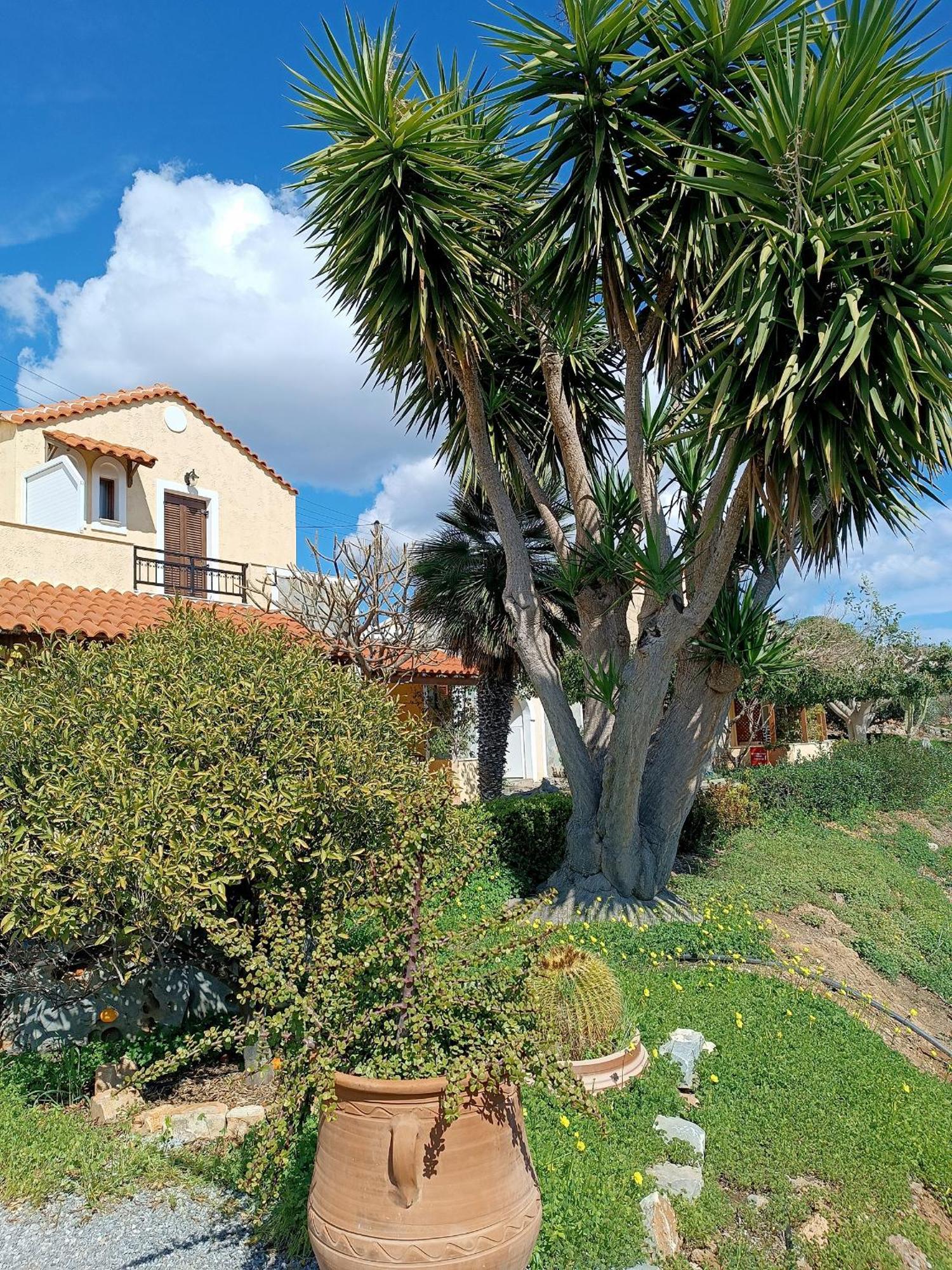 Villa Amalia Palekastro Exterior foto